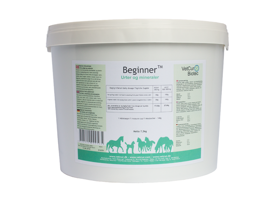 Beginner – Hest - bedstevendk