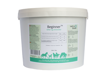 Beginner – Hest - bedstevendk