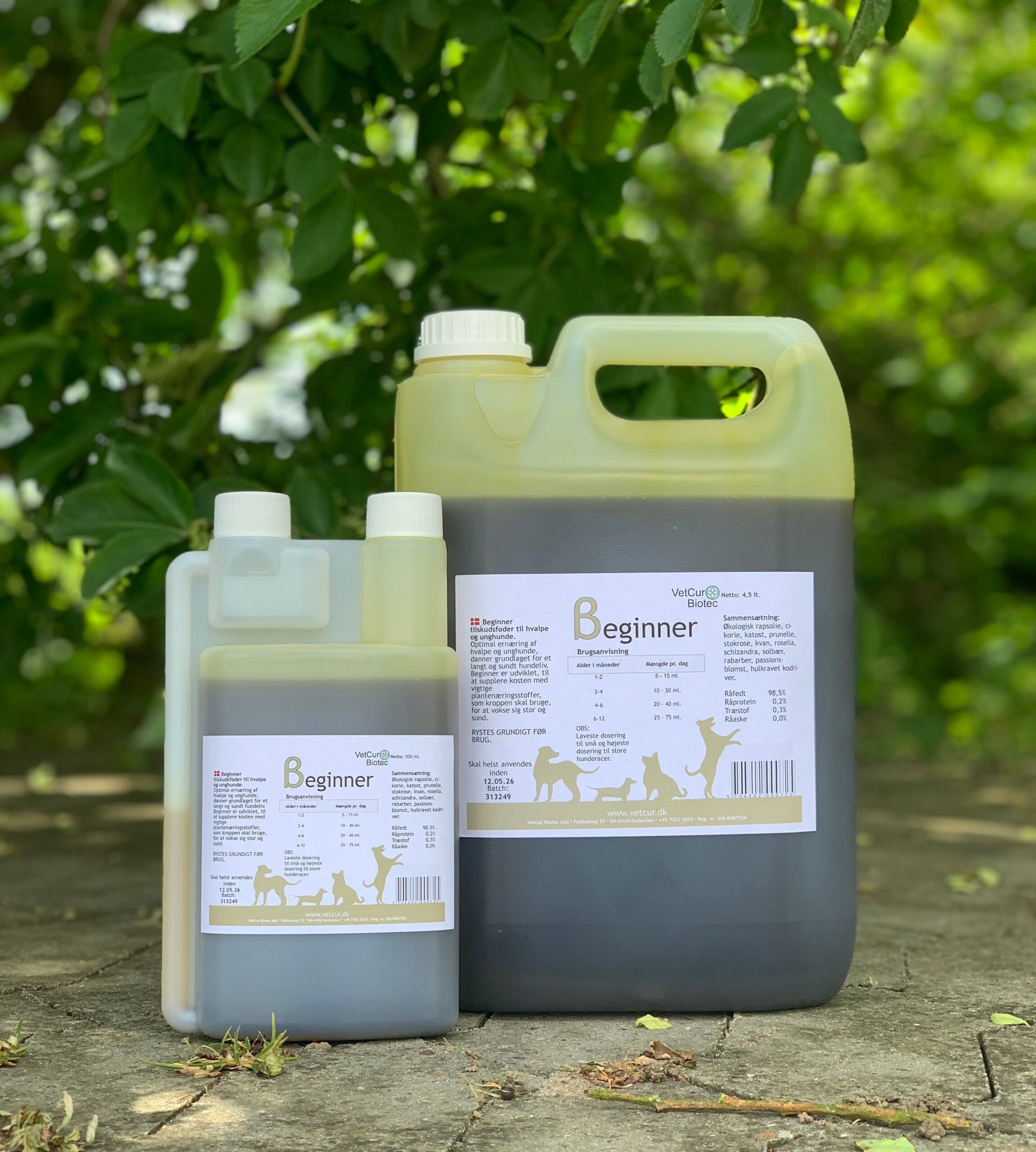 Beginner – Hund - bedstevendk