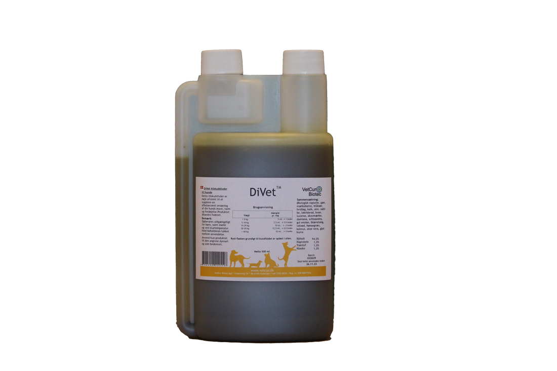 DiVet – Hund - bedstevendk