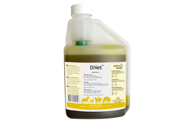 DiVet – Hest - bedstevendk