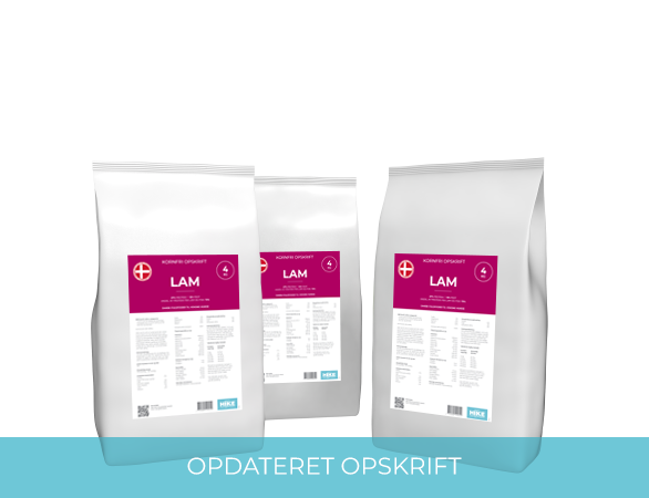 HIKE Kornfri LAM Hundemad - bedstevendk