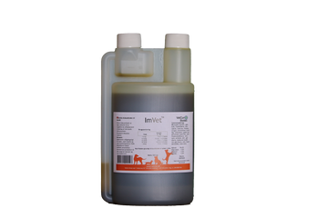 ImVet  – Hund - bedstevendk