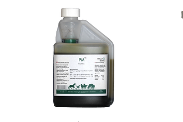 PM – Hest - bedstevendk