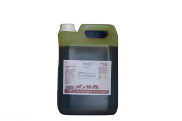 Rootz – Hest - bedstevendk