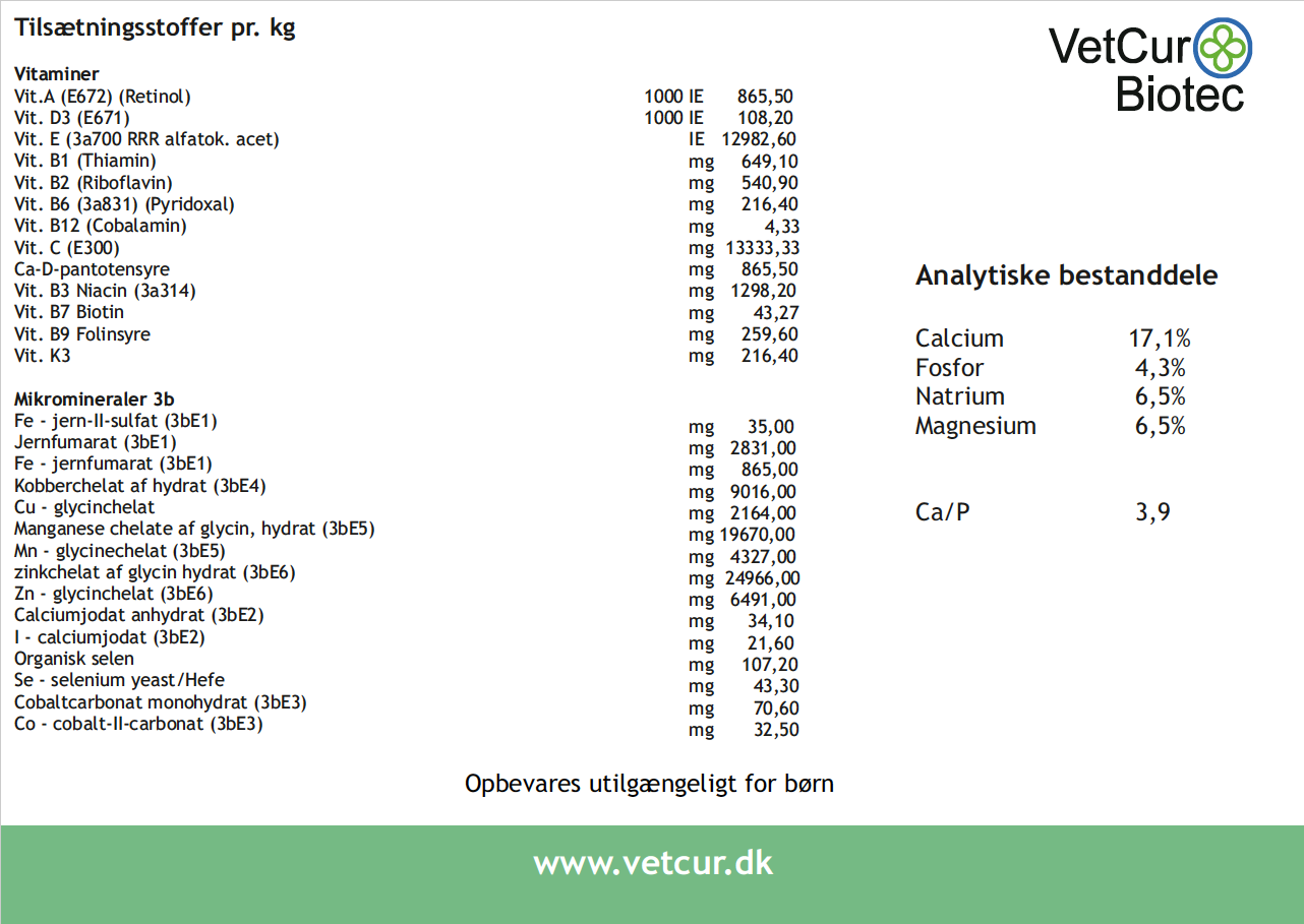 Beginner – Hest - bedstevendk