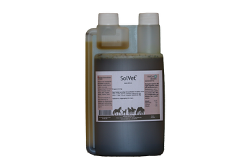 SolVet – Hest - bedstevendk