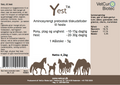Yest - Hest 4,2 kg - bedstevendk