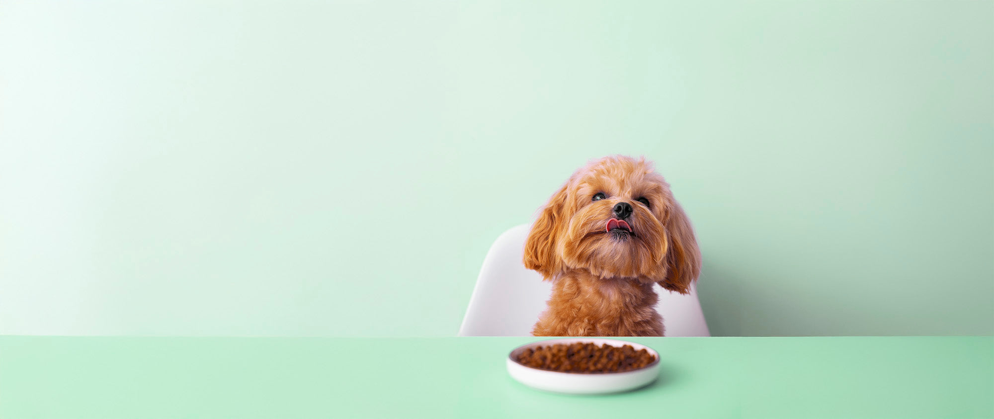 slider image 1621243260e1af0c20-0