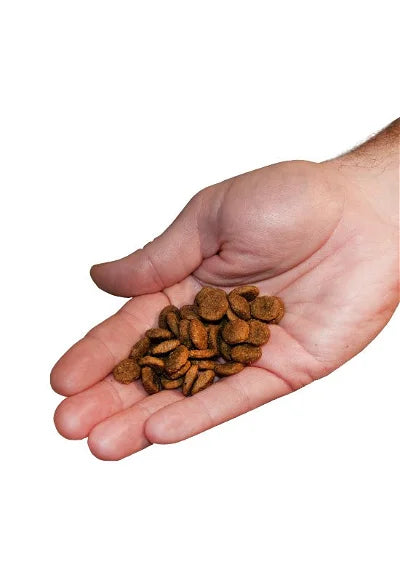 Kornfri Hvalpepakke - bedstevendk