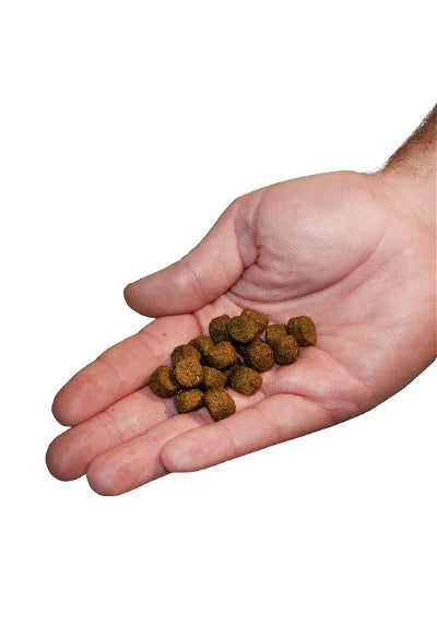 HIKE Original FISK Hundemad - bedstevendk