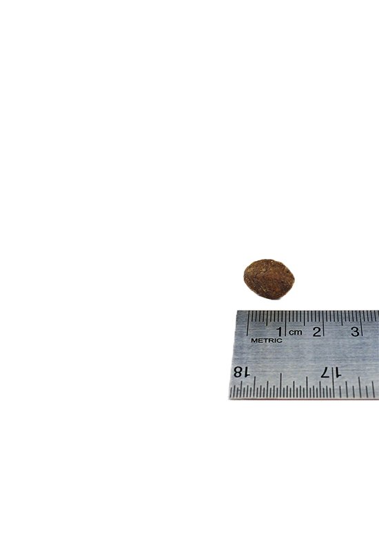 HIKE Kornfri FISK Hundemad - bedstevendk