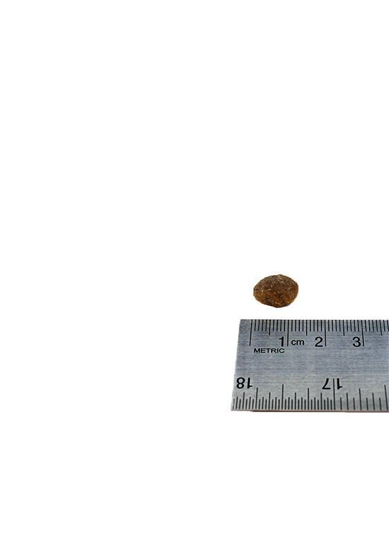 HIKE Kornfri HVALP Hundemad - bedstevendk