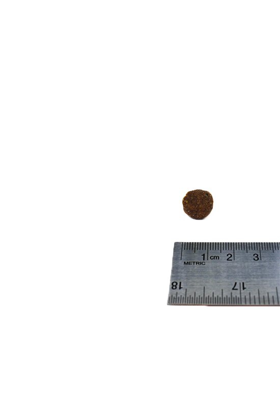 HIKE Original SENIOR Hundemad - bedstevendk